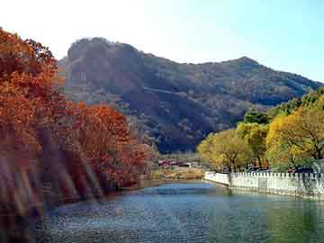 新澳天天开奖资料大全旅游团，异界重生小说排行榜